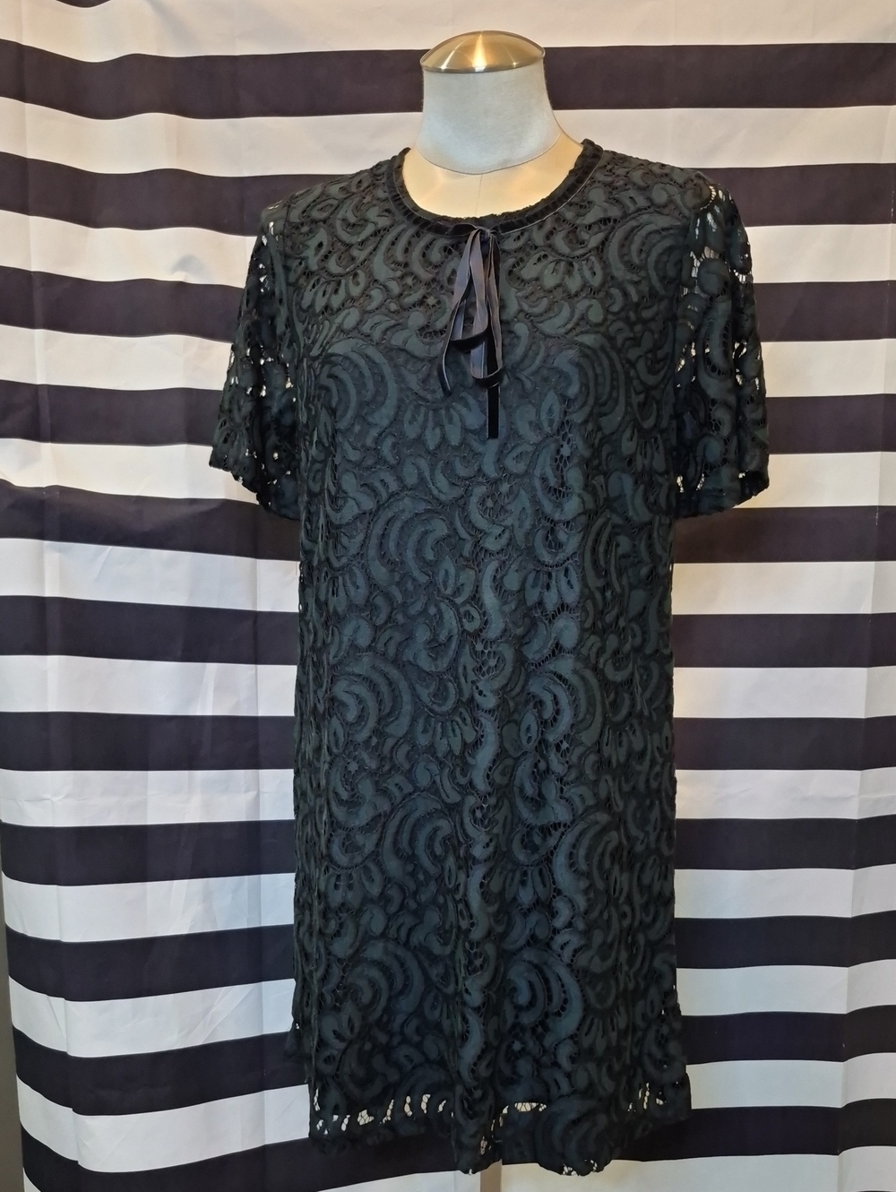 Black Lace Overlay Short Sleeve Shift Dress
